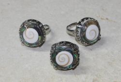 Paua Shiva Muschel - Ring - Metall - verstellbar - 1 St�ck