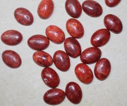 Schaumkoralle - Cabochon - 18x13mm - 10 St�ck - Restposten