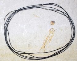Kette aus textiler Kordel - schwarz - 1mm - 45cm - metall - 5 St