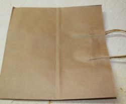 Geschenktragetasche - Papier braun - 28x28cm - 50 St�ck