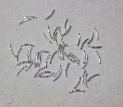 R�hrchen - 10mm - Sterling Silber - 50 St�ck