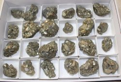 Pyrit - Peru - Stufen - 24 St�ck - Karton