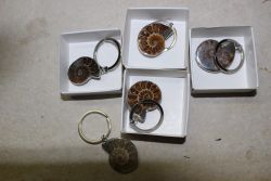 Ammonit - Schl�sselanh�nger - Metall - 30-40mm  - 1 St.
