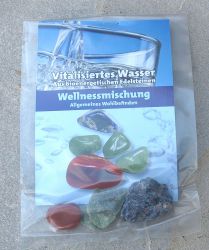 Vitalisiertes Wasser - Wellness- 5 Beutel - Wassermischung