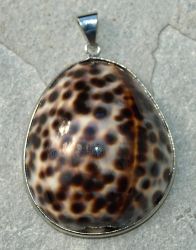 Tigris Muschel - Anh�nger - Metall -
