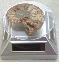 drehbarer Solar Deko Aufsteller  - 10 St�ck