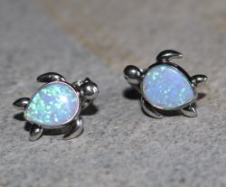 Opal synth. t�rkis - Tropfen - Schildkr�te - Silber - Ohrstecker