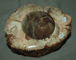 Versteinertes Holz - Flaschenhalter - ca. 20 cm -  Einzelst�ck