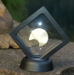 3D-Schweberahmen - Deko Aufsteller - ca. 7 x 7 cm - 10 St�ck