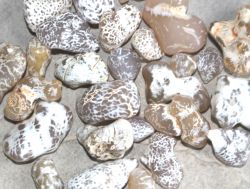 Schlangenhaut Achat - Trommelsteine - 500 Gramm