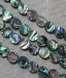 Paua Muschel Abalone - Disc flach - 10mm - Kettenstrang