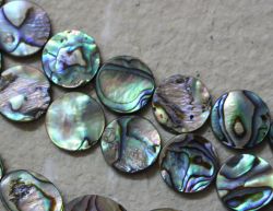 Paua Muschel Abalone - Disc flach - 16mm - Kettenstrang