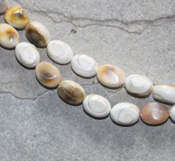 Shiva Auge Muschel - Oval - 15x12mm - Kettenstrang