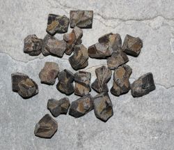 Staurolith Kristalle - 15-25mm - 20 St�ck