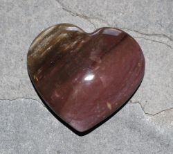 Versteinertes Holz - Herz - Handschmeichler -  5-5,5cm - 1 St�ck