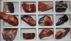 Versteinertes Holz - Handschmeichler -  12 St�ck