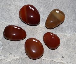 Karneol - Trommelsteine gebohrt - Anh�nger - 5 St�ck