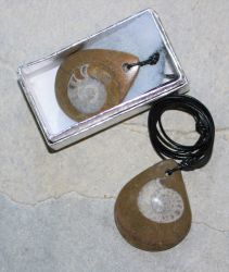 Goniatit - Anh�nger - Fossil an Lederband - in Box - 1 St�ck