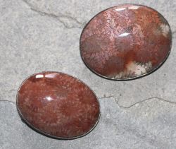 Versteinerte Koralle - Anh�nger & Brosche - 40mm - Silber - 1 St
