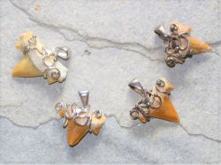Haifischzahn - Anh�nger - 18-22mm - Silber - 1 St�ck