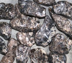 Turitella Achat - Trommelsteine - 500 Gramm