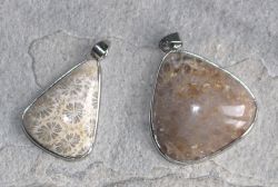 Versteinerte Koralle  - Anh�nger - Cabochon mit Fassung - 1 St.
