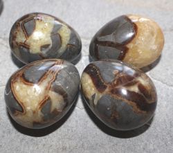 Septarie - Ei - Kugel - 33-40mm - 30 St�ck - Karton