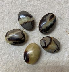 Septarie - Seifensteine - Handschmeichler - 5 St�ck