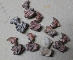 Delfine Tier Figur - Edelstein Mix - 5-6cm - 8 St�ck