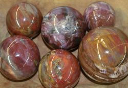 Versteinertes Holz - Kugeln - verschiedene Gr��en