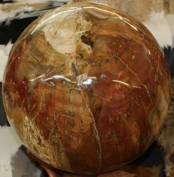 Versteinertes Holz - Kugeln - verschiedene Gr��en
