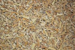 Haifischzahn - Mini - 1 kg - Beutel