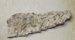 Turitella Achat - Rohst�ck anpoliert - 24x8cm