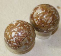 Versteinerte Koralle - Kugel - 7cm - 1 St�ck - SONDERPREIS