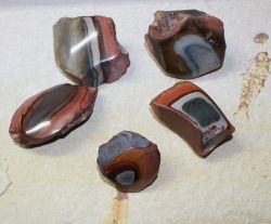 Polychrome Jaspis - Rohst�cke poliert - 4-6cm - 12 St. - Karton