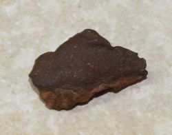 Meteorit - Einzelst�ck - �gypten - 40x28mm - 1 St�ck