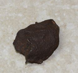 Meteorit - Einzelst�ck - �gypten - 35x28mm - 1 St�ck