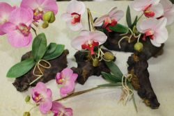Kunstblume Orchidee auf Naturholzwurzel - 2 St�ck - SONDERPREIS