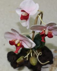 Kunstblume Orchidee auf Naturholzwurzel - 2 St�ck - SONDERPREIS