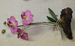 Kunstblume Orchidee auf Naturholzwurzel - 2 St�ck - SONDERPREIS