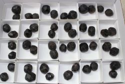Granat Kristalle - 1,5-2cm - 48 St�ck - Karton