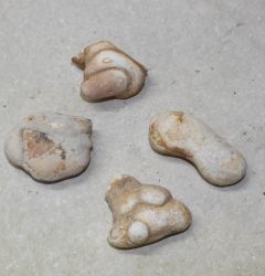 Menalite - 4-5cm - 12 St�ck - Karton