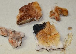 Baryt mit Vanadinit - Mineralien Stufe - 5-10cm - 20 St. Karton