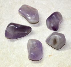 Amethyst - Trommelsteine gebohrt - Anh�nger - 5 St�ck