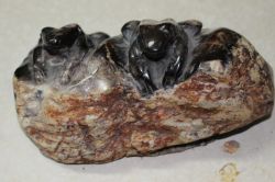 Frosch Tier Figur - Versteinertes Holz - 17,5x10cm - Einzelst�ck