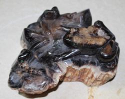 Frosch Tier Figur - Versteinertes Holz - 12x13cm - Einzelst�ck