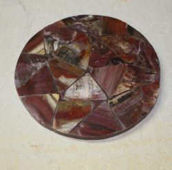 Versteinertes Holz - Platte - 17cm - Deko - 1 St�ck