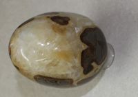 Septarie - Ei - 10,5cm - Einzelst�ck