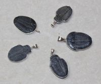 Trilobit - Anh�nger - 25-30mm - Silber - 1 St.