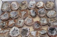 Achat - Mexiko - Geoden - 5-8cm - 25 St�ck - Karton